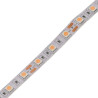 LED Strip 12V, 5m - fresh meat