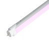 Tubo LED 18W especial carniceiros