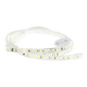 Plug-in kit for self-rectifying 220V LED strips