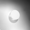 Ceiling lamp ARENA gray