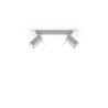Plafonnier RING 2 gris