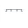 Ceiling lamp MERIDA 4L grey