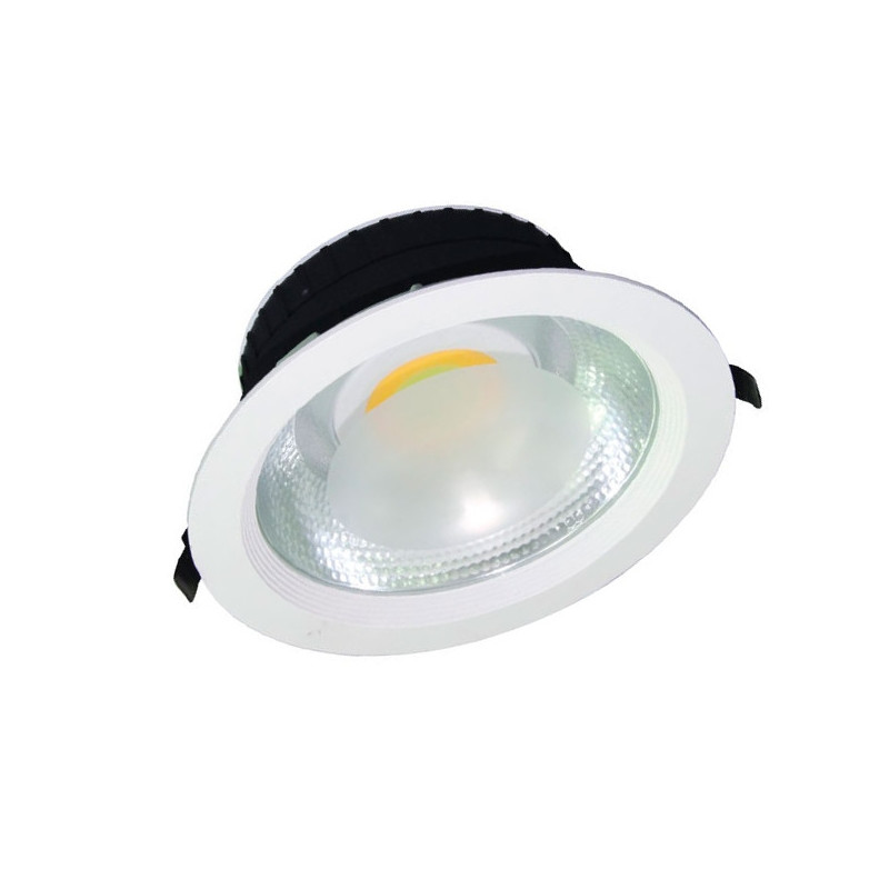 Proyector Techo redondo 30W luz blanca