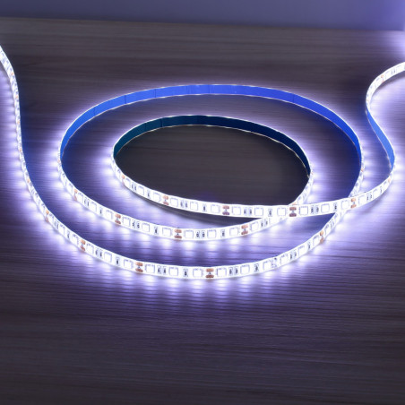 Bande LED 12V 5m 14,4W/m IP65