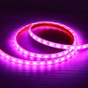 Tira Led RGB 12V 14.4W/m IP68 submergível