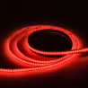 Bande led COB 24V RGB 5m 576 LED/m IP20