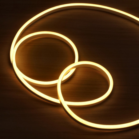 Neon flex strip 220V 7W/m