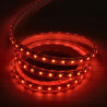 Bande LED 220V RGB IP65 à branchement rapide