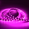 LED Strip 12V, 5m - fresh meat