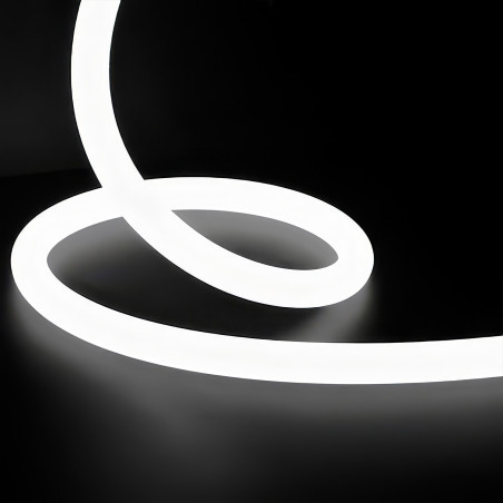 Round neon flex strip 220V...