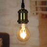 Ampoule de style rétro réglable 360º 6W
