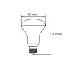 Ampoule LED - R80, 12W