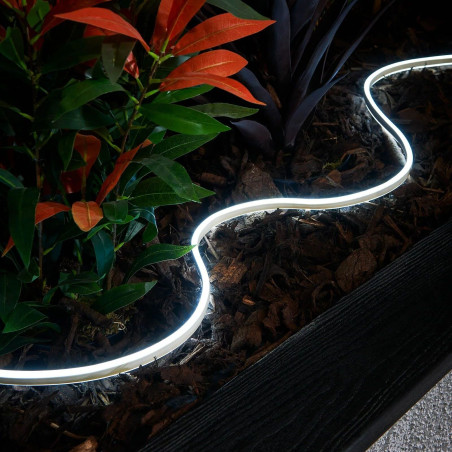 Néon Flex LED 24V 7W/m