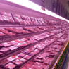 Tubo LED 18W especial carniceiros