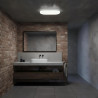 24W oval LED ceiling light IP65