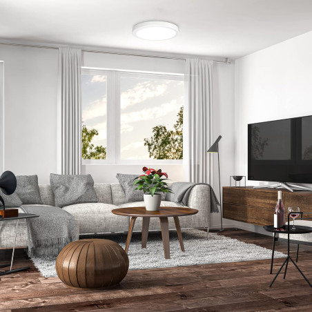 Plafón LED 24W Circular Ø285mm salón