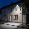 Rigid support for street lamp