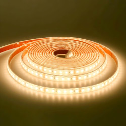 Bande LED 24 V SMD, largeur 10 mm, IP67 - Rouleau de 20 mètres