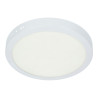 LED Ceiling Light - Round, 24W