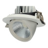 Proyector de Techo LED Redondo Orientable 20W