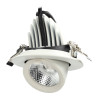 Led Projector 12W telhado rodada orientável