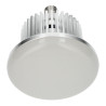 Lampe LED industrielle 50W