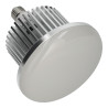 Lâmpadas LED iluminação pública 50W