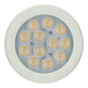 Ampoule LED PAR30 - 12W