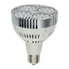 PAR30 35W Puce Osram