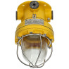 ATEX E27 Industrial Luminaire